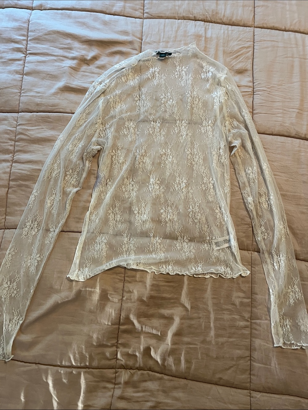wild fable Cream Sheer Lace Long Sleeve Top